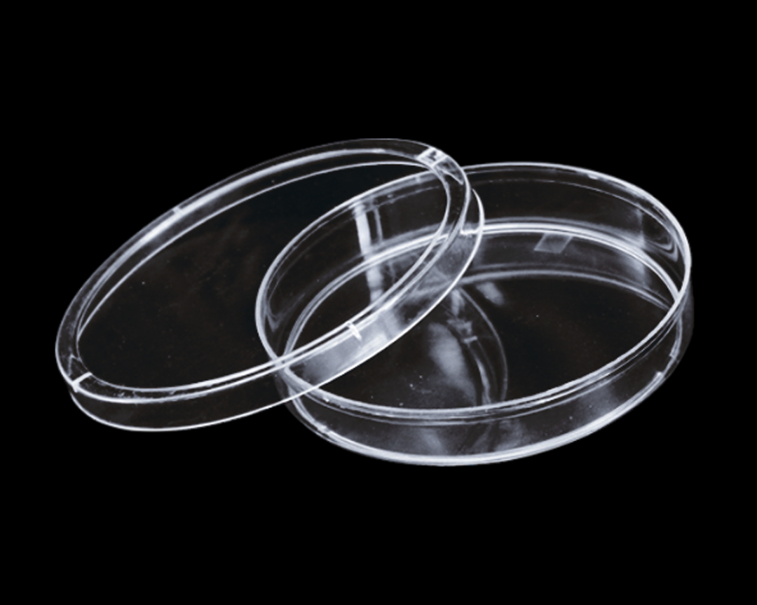 φ100mm Petri dish