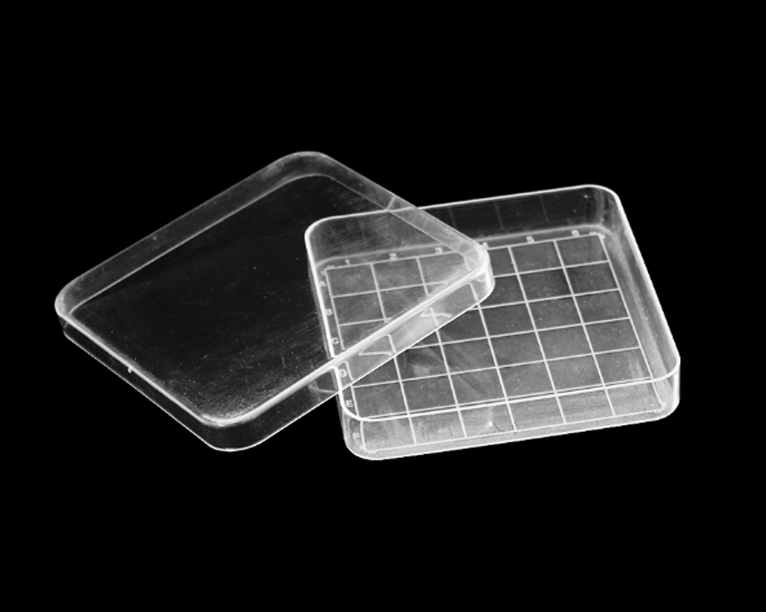 10×10cm square Petri dish
